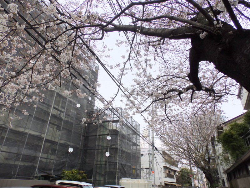 f:id:garadanikki:20170411203241j:plain