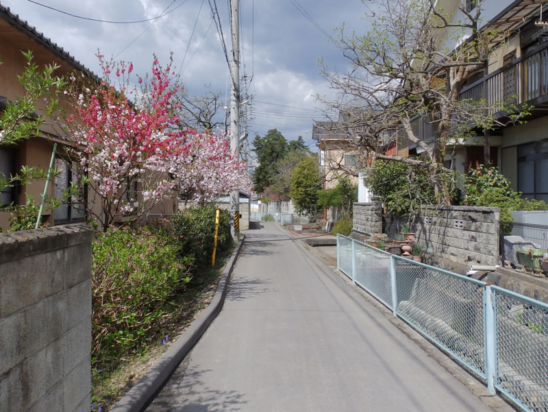 f:id:garadanikki:20170423121052j:plain