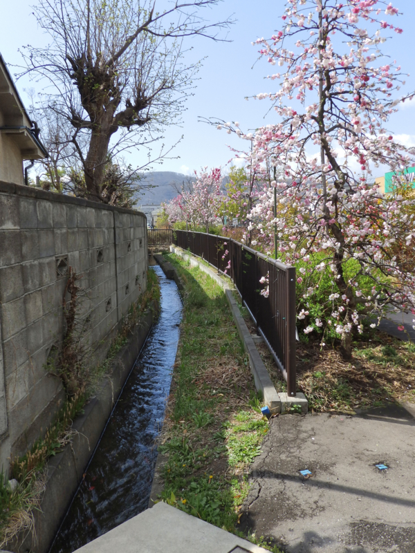 f:id:garadanikki:20170423121056j:plain