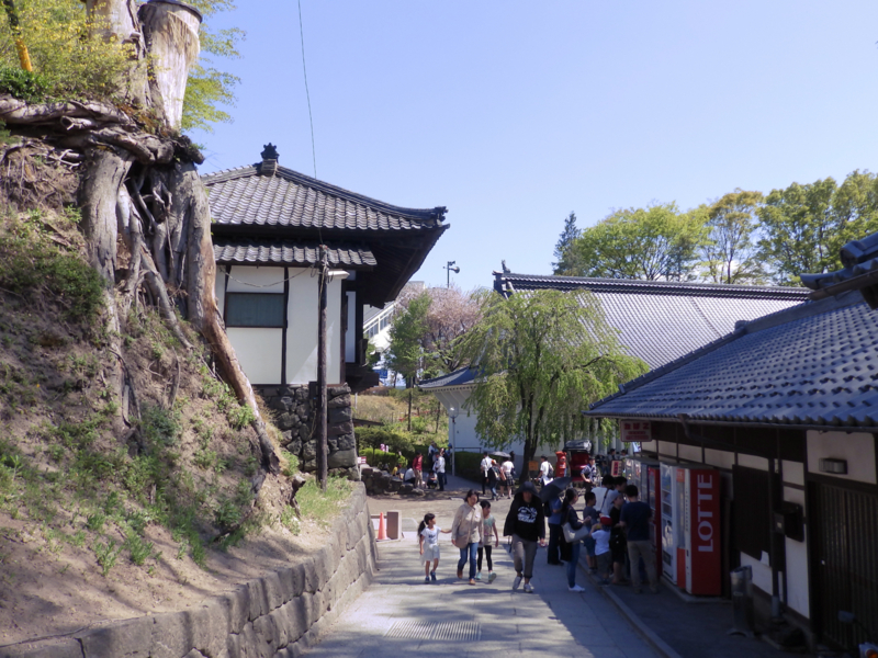 f:id:garadanikki:20170515113631j:plain