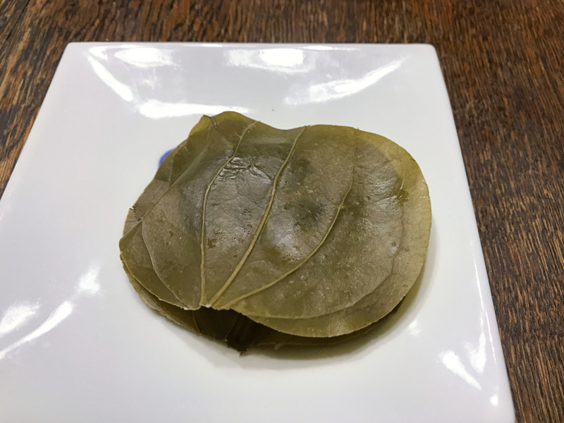 f:id:garadanikki:20170618085031j:plain