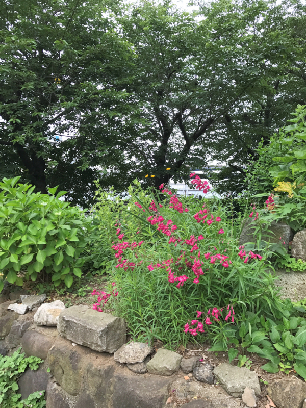 f:id:garadanikki:20170618122243j:plain