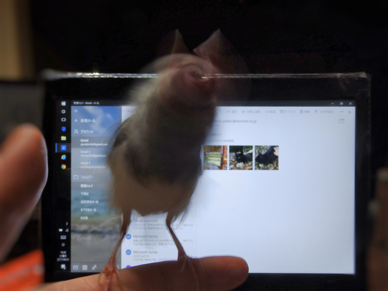 クリックすると大きくなります f:id:garadanikki:20170708155450j:plain