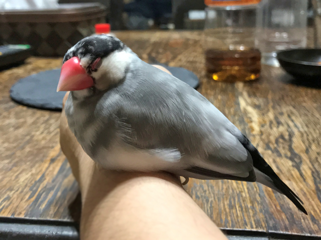 クリックすると大きくなります f:id:garadanikki:20170801161956j:plain