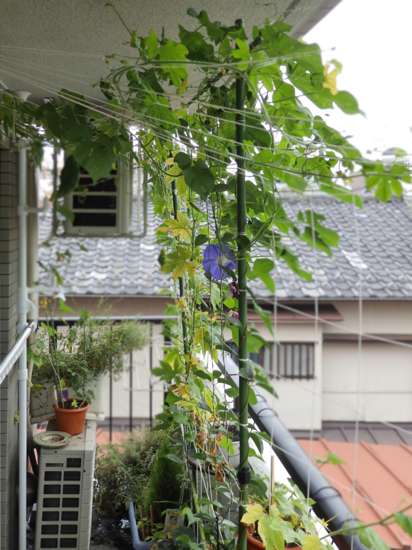 クリックすると大きくなります f:id:garadanikki:20170820140004j:plain