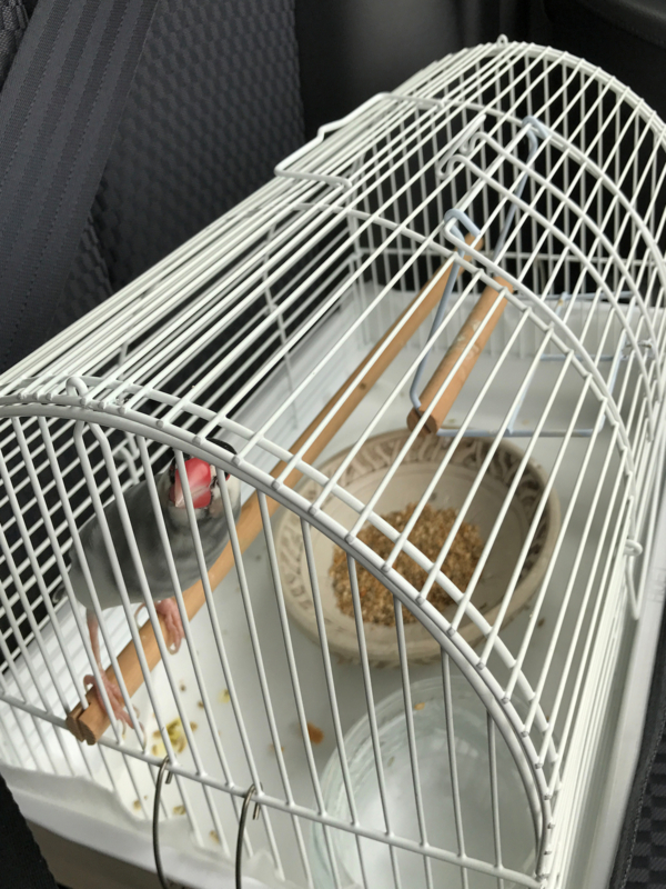 f:id:garadanikki:20170830153448j:plain