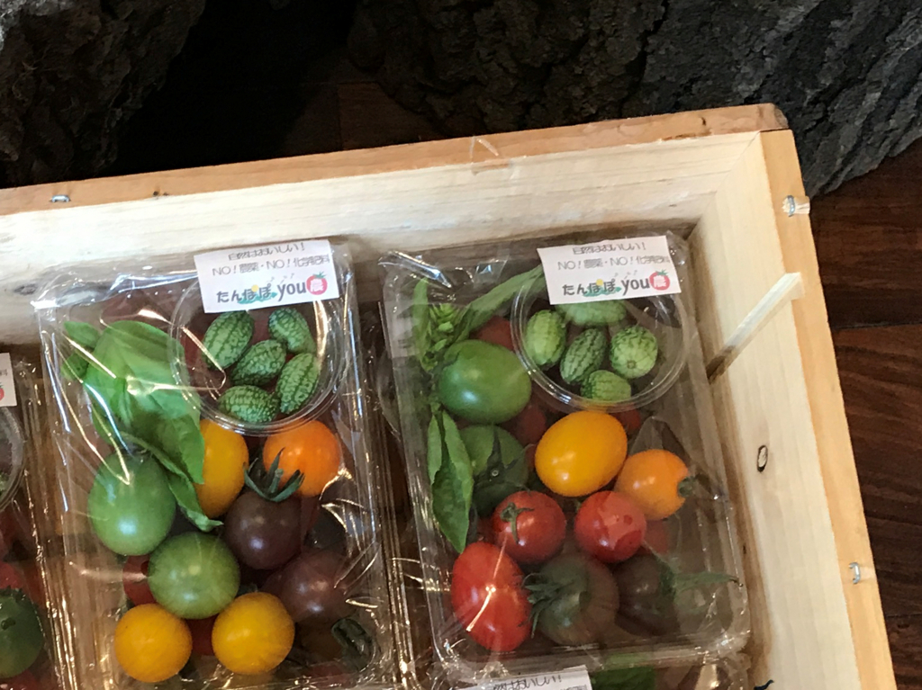 f:id:garadanikki:20170831155005j:plain