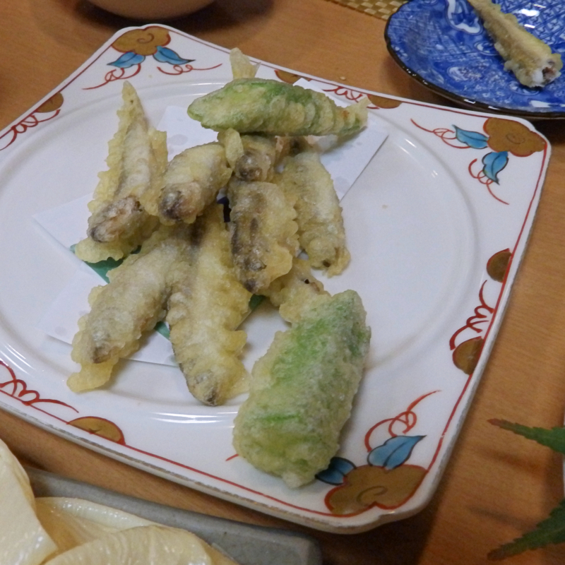 F：ID：garadanikki：20170905185519j：平野