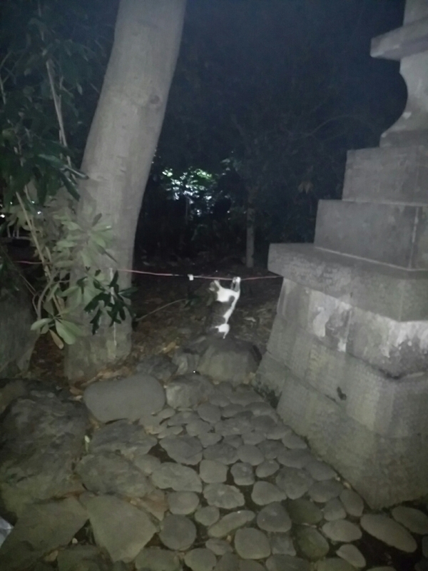 f:id:garadanikki:20171001214723j:plain