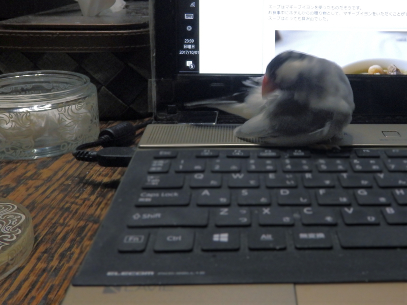 f:id:garadanikki:20171022113608j:plain
