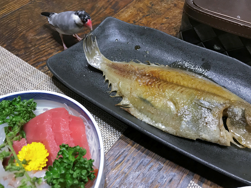 f:id:garadanikki:20171105181956j:plain f:id:garadanikki:20171105181956j:plain