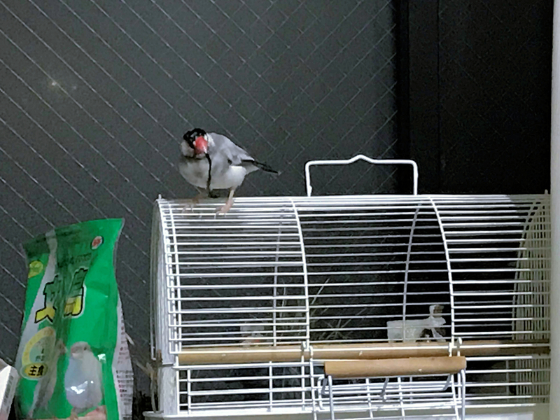 f:id:garadanikki:20171124225945j:plain f:id:garadanikki:20171124225945j:plain