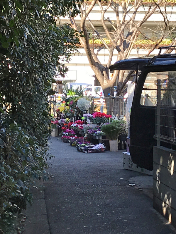 f:id:garadanikki:20180103173828j:plain