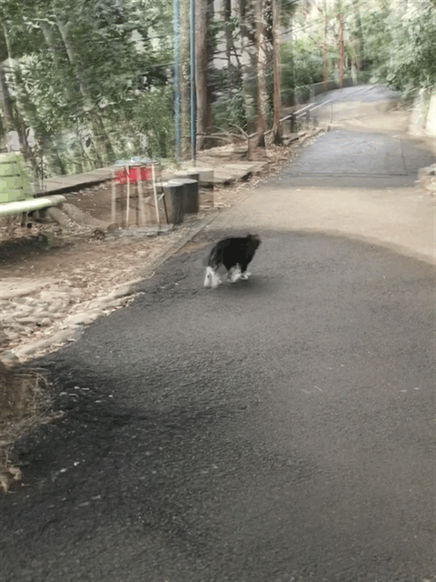 クリックすると大きくなります f:id:garadanikki:20180305005332g:plain