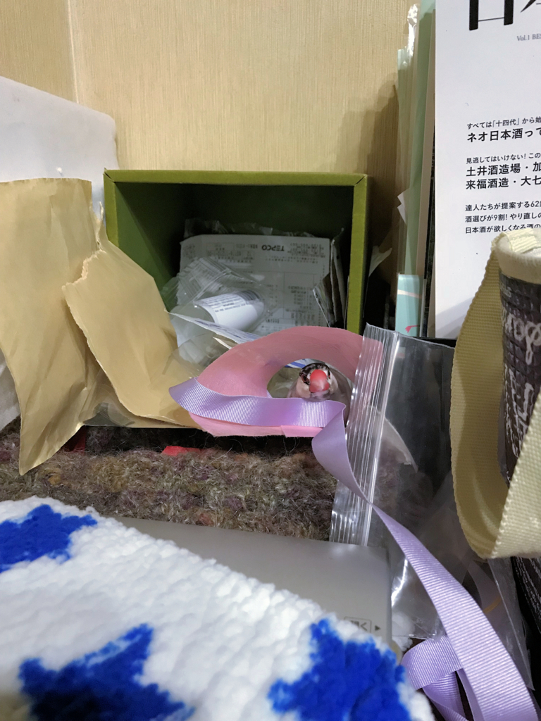 f:id:garadanikki:20180305023609j:plain