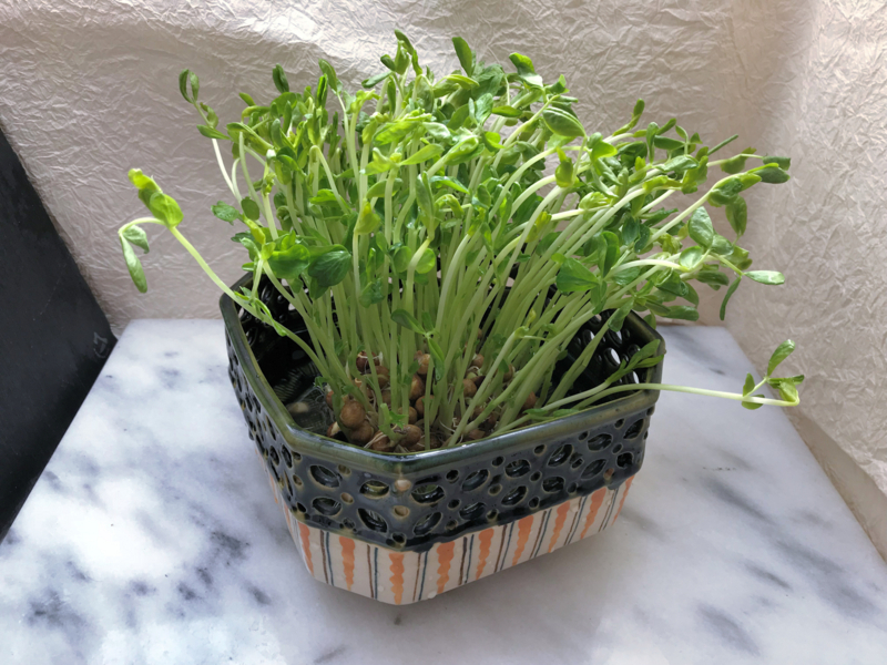 f:id:garadanikki:20180312194554j:plain