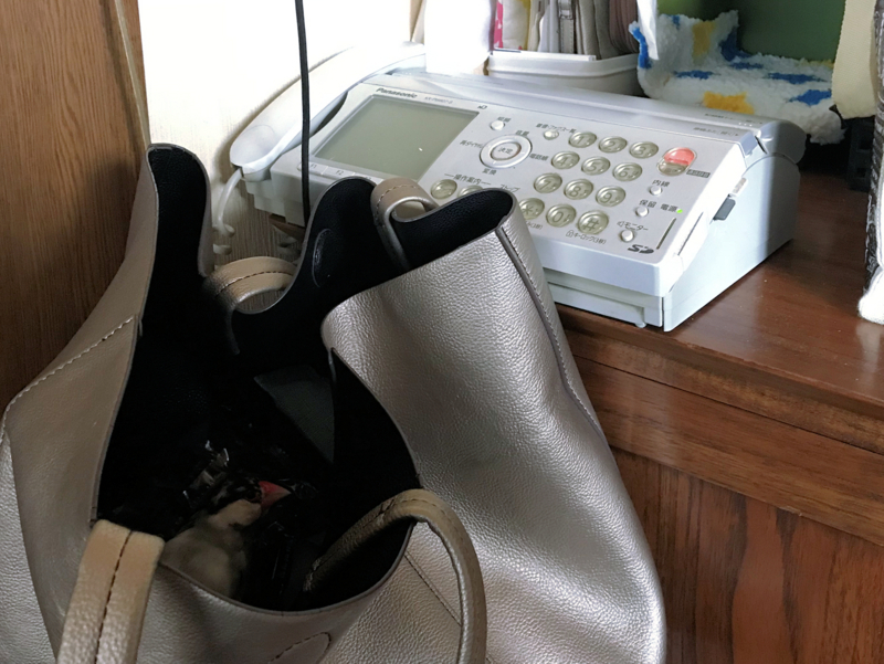 f:id:garadanikki:20180316075046j:plain