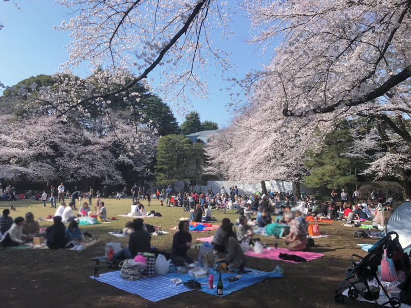 f:id:garadanikki:20180404164934j:plain