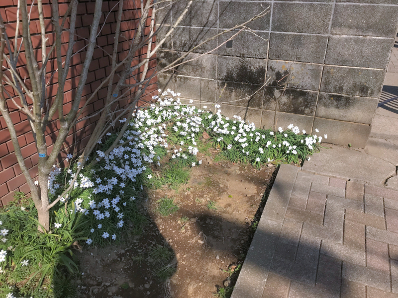 f:id:garadanikki:20180404164935j:plain