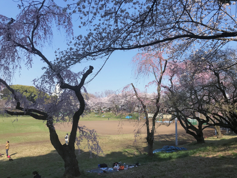 f:id:garadanikki:20180404164936j:plain