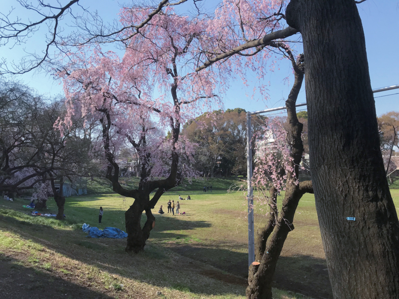 f:id:garadanikki:20180404164937j:plain
