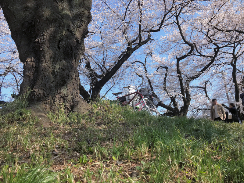 f:id:garadanikki:20180404164938j:plain