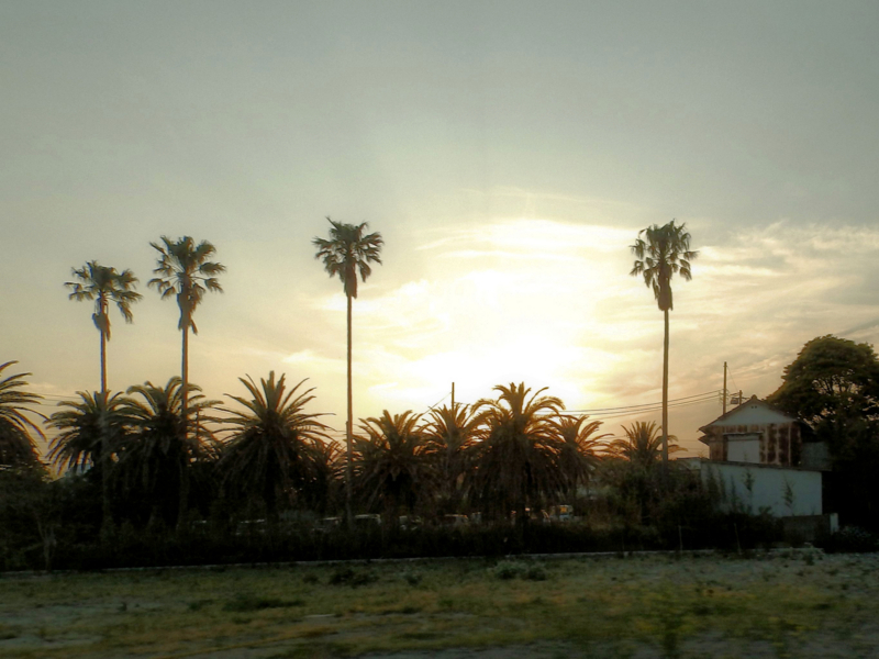 f:id:garadanikki:20180519150726j:plain