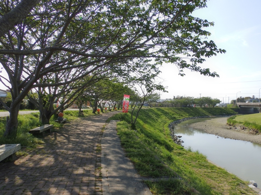 クリックすると大きくなります f:id:garadanikki:20180519163853j:plain