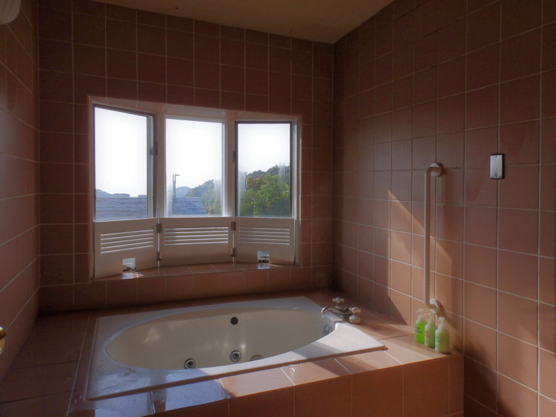 f:id:garadanikki:20180520112831j:plain