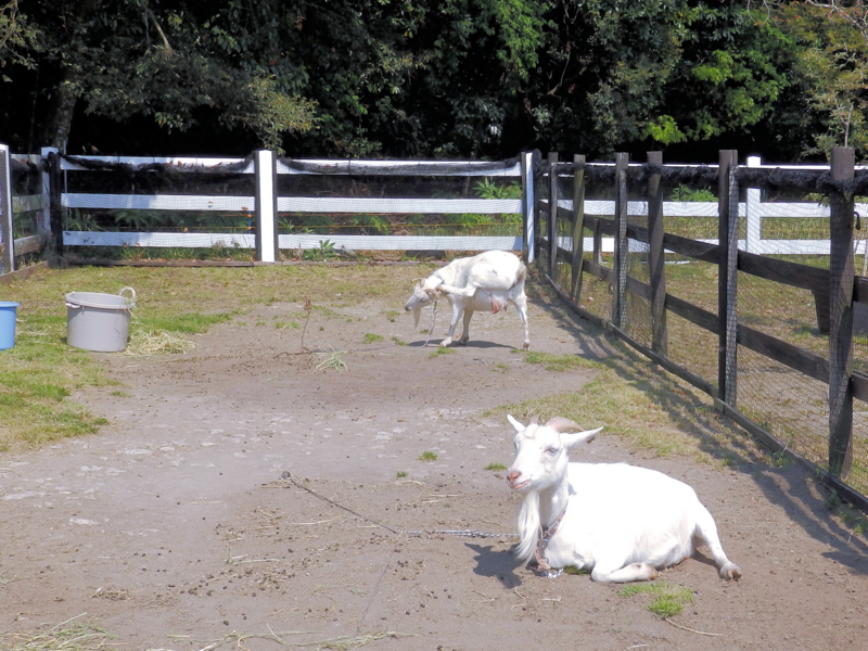 f:id:garadanikki:20180520112846j:plain