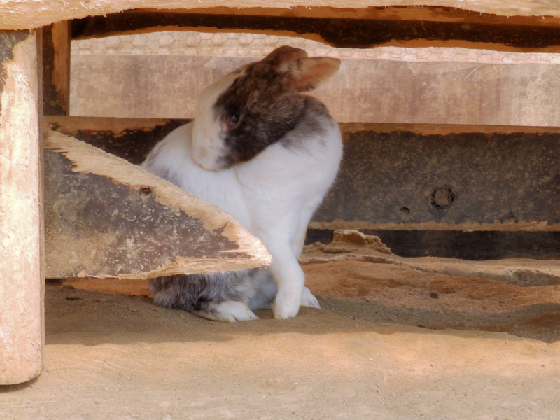 f:id:garadanikki:20180520112855j:plain