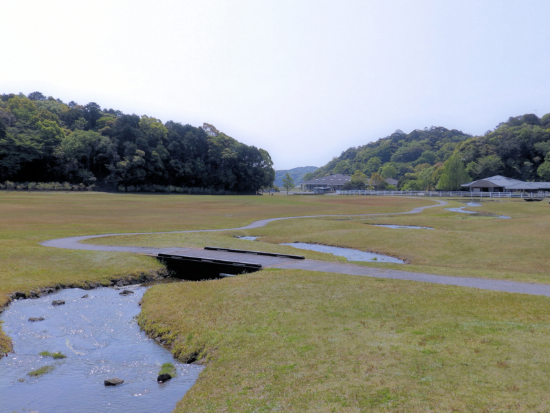 f:id:garadanikki:20180520112856j:plain