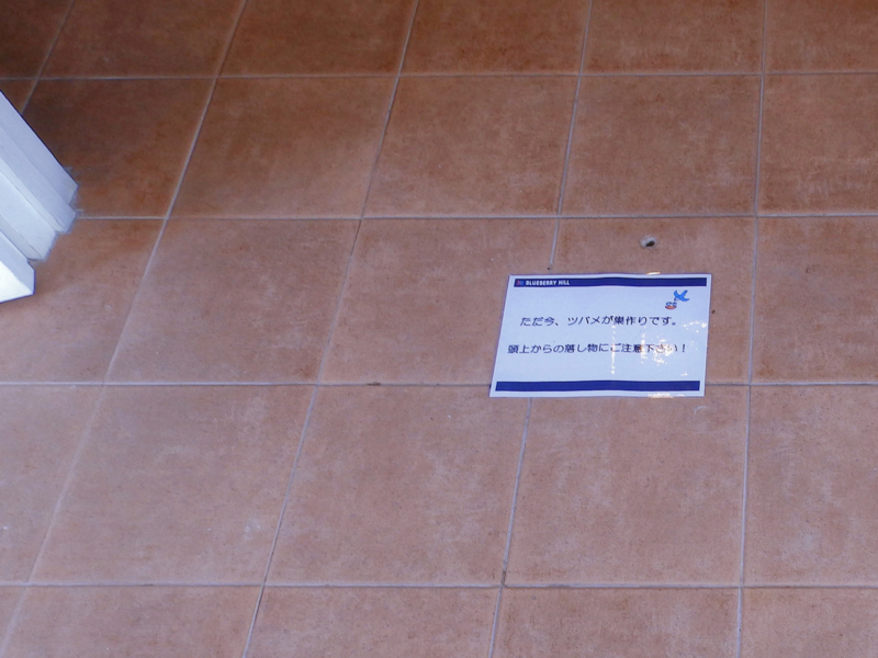 f:id:garadanikki:20180520112859j:plain