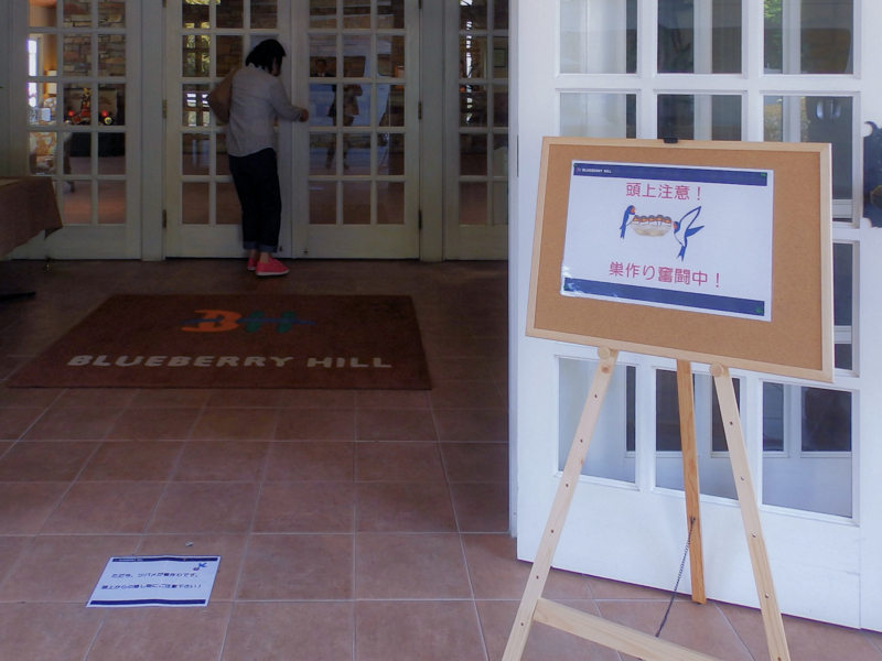 f:id:garadanikki:20180520112900j:plain