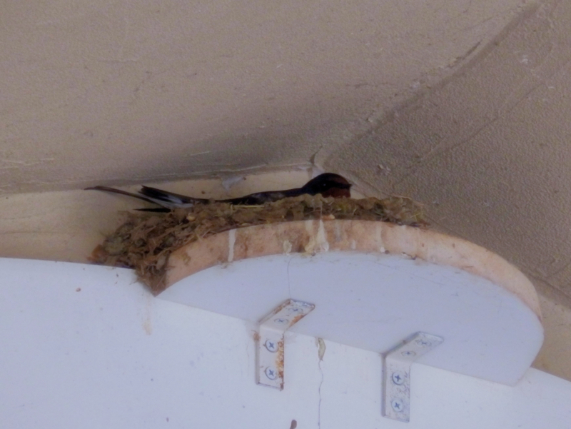 f:id:garadanikki:20180520112902j:plain