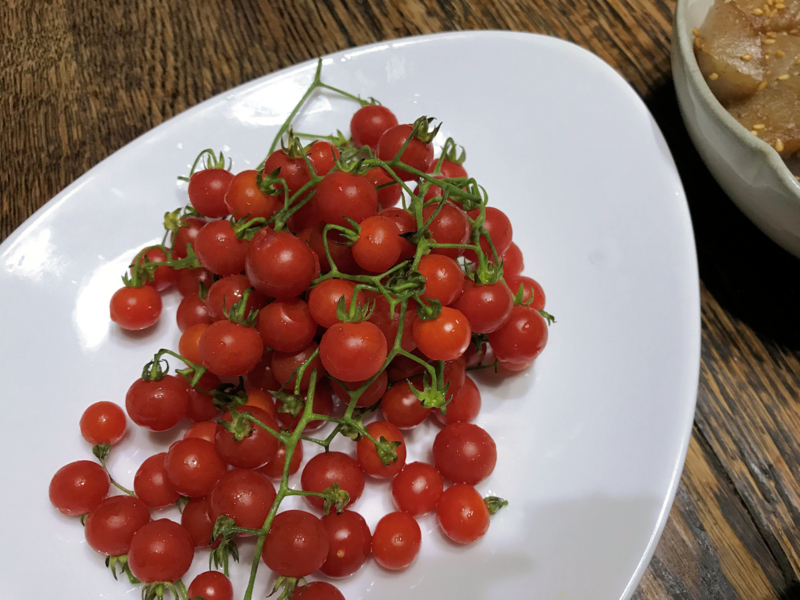 f:id:garadanikki:20180630144945j:plain