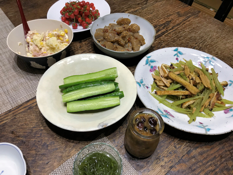 f:id:garadanikki:20180630144946j:plain