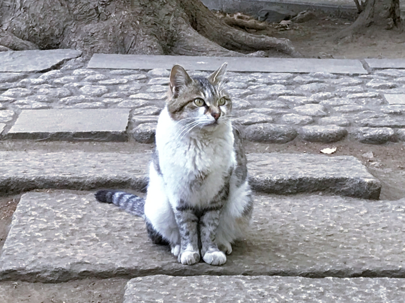 f:id:garadanikki:20180630151303j:plain