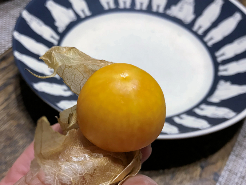 クリックすると大きくなります f:id:garadanikki:20180630162253j:plain