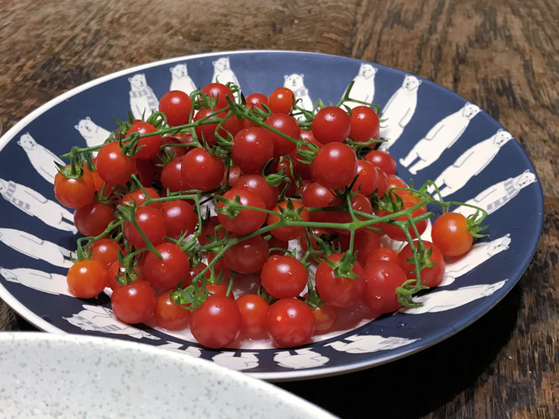 f:id:garadanikki:20180630174849j:plain