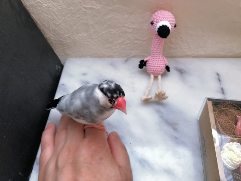 f:id:garadanikki:20180705233646j:plain