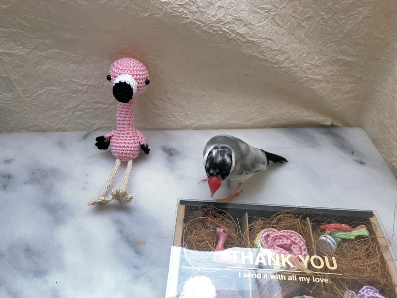 f:id:garadanikki:20180705233647j:plain