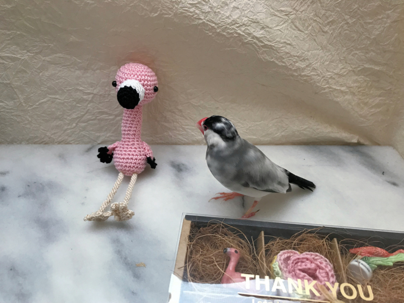 f:id:garadanikki:20180705233648j:plain