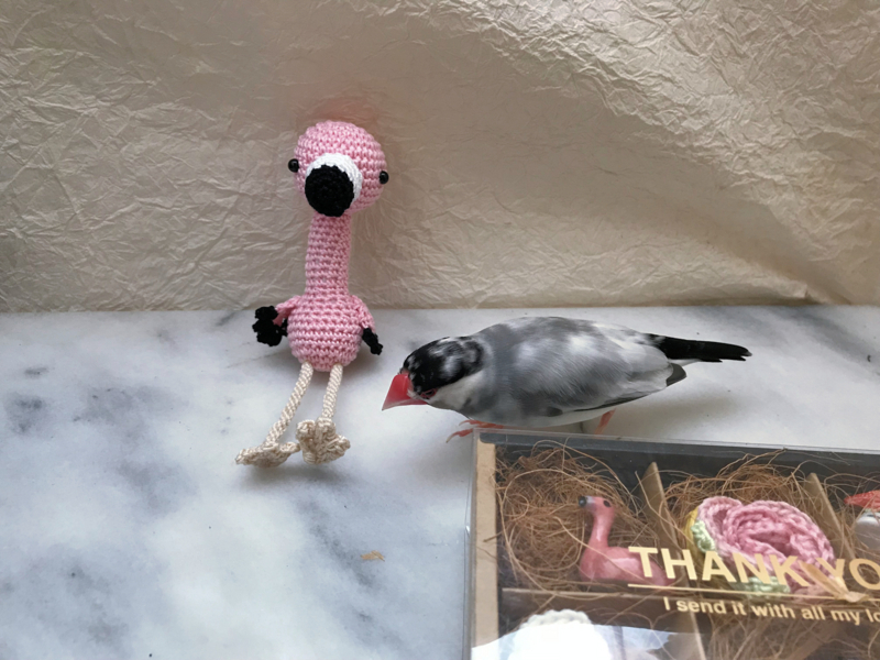 f:id:garadanikki:20180705233649j:plain