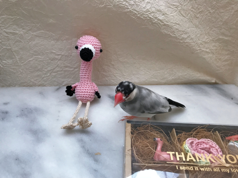 f:id:garadanikki:20180705233650j:plain