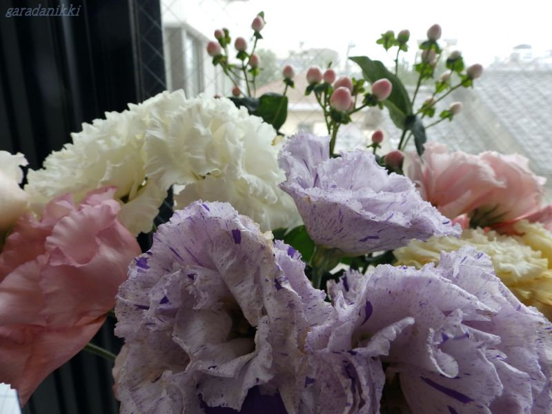 f:id:garadanikki:20180707145007j:plain