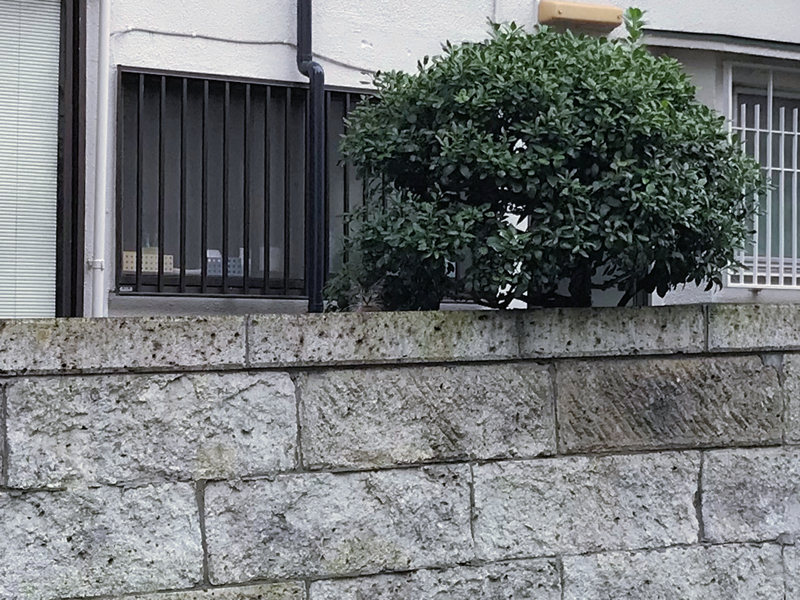 f:id:garadanikki:20180708111624j:plain