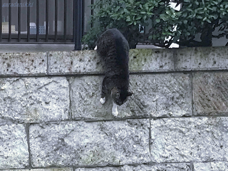 f:id:garadanikki:20180708111625j:plain