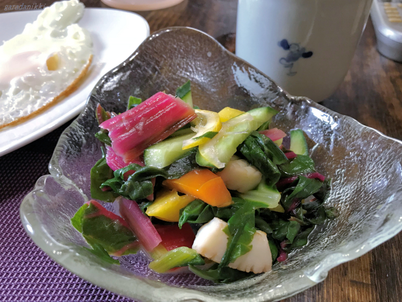 f:id:garadanikki:20180714145941j:plain