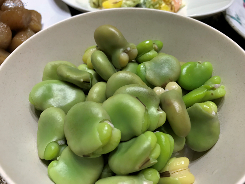 f:id:garadanikki:20180714152423j:plain
